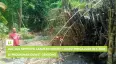 Ulu-Ulu Srimulyo Lakukan Survei Lokasi Pengajuan BKK 2026 di Padukuhan Duwet Gentong