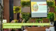FGD Laporan Pendahuluan Masterplan Desa Mandiri Budaya Kalurahan Srimulyo 