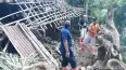 Hujan Sebabkan Pohon Tumbang dan Tanah Longsor