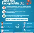 Yuk Kenali Apa Itu Penyakit Radang Otak Japanese Encephalitis (JE)