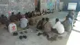 Rehabilitasi Daerah Irigasi Karangploso Mulai Dilaksanakan, DPUPKP Sosialisasikan Pekerjaan