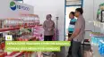 Kepala Pusat Pelatihan Kementan Kunjungi Koperasi Desa Merah Putih Srimulyo