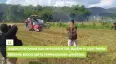 Sinergi Pertanian dan Infrastruktur, Bakom RI Liput Panen Bersama Bulog serta Pembangunan Jembatan