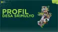 Profil Desa
