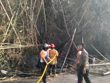 Terbakarnya Rumpun Bambu Darmowiajo Sempat Ganggu Lalu Lintas Jalan Yogya Wonosari