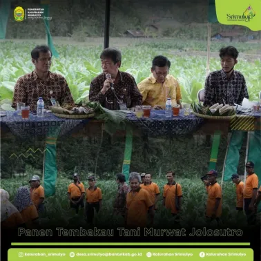 Panen Tembakau Tani Murwat Jolosutro Bersama Anggota Dewan DPRD Provinsi Komisi B
