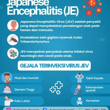 Yuk Kenali Apa Itu Penyakit Radang Otak Japanese Encephalitis (JE)