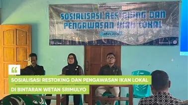 Sosialisasi Restoking dan Pengawasan Ikan Lokal di Kebon Pring Srimulyo