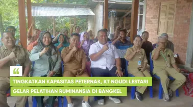 Tingkatkan Kapasitas Peternak, KT Ngudi Lestari Gelar Pelatihan Ruminansia di Bangkel