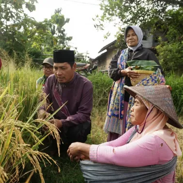 Wiwitan Bintaran Wetan, Wujud Syukur dan Pelestarian Tradisi Menjelang Panen Padi