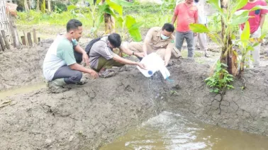 Taruna Tani Padukuhan Jolosutro Berhasil Terapkan Model Pertanian Integrated Farming