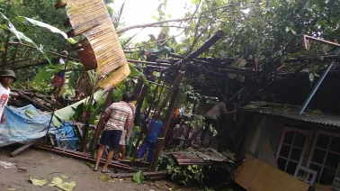 Pohon Jati Tumbang Menimpa Rumah Warga