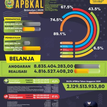 Infografis Realisasi Pelaksanaan Anggaran Pendapatan dan Belanja Kalurahan Tahun Anggaran 2020