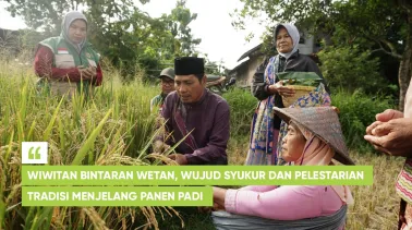 Wiwitan Bintaran Wetan, Wujud Syukur dan Pelestarian Tradisi Menjelang Panen Padi