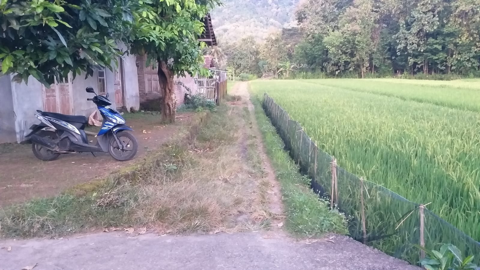 Foto Dokumentasi
