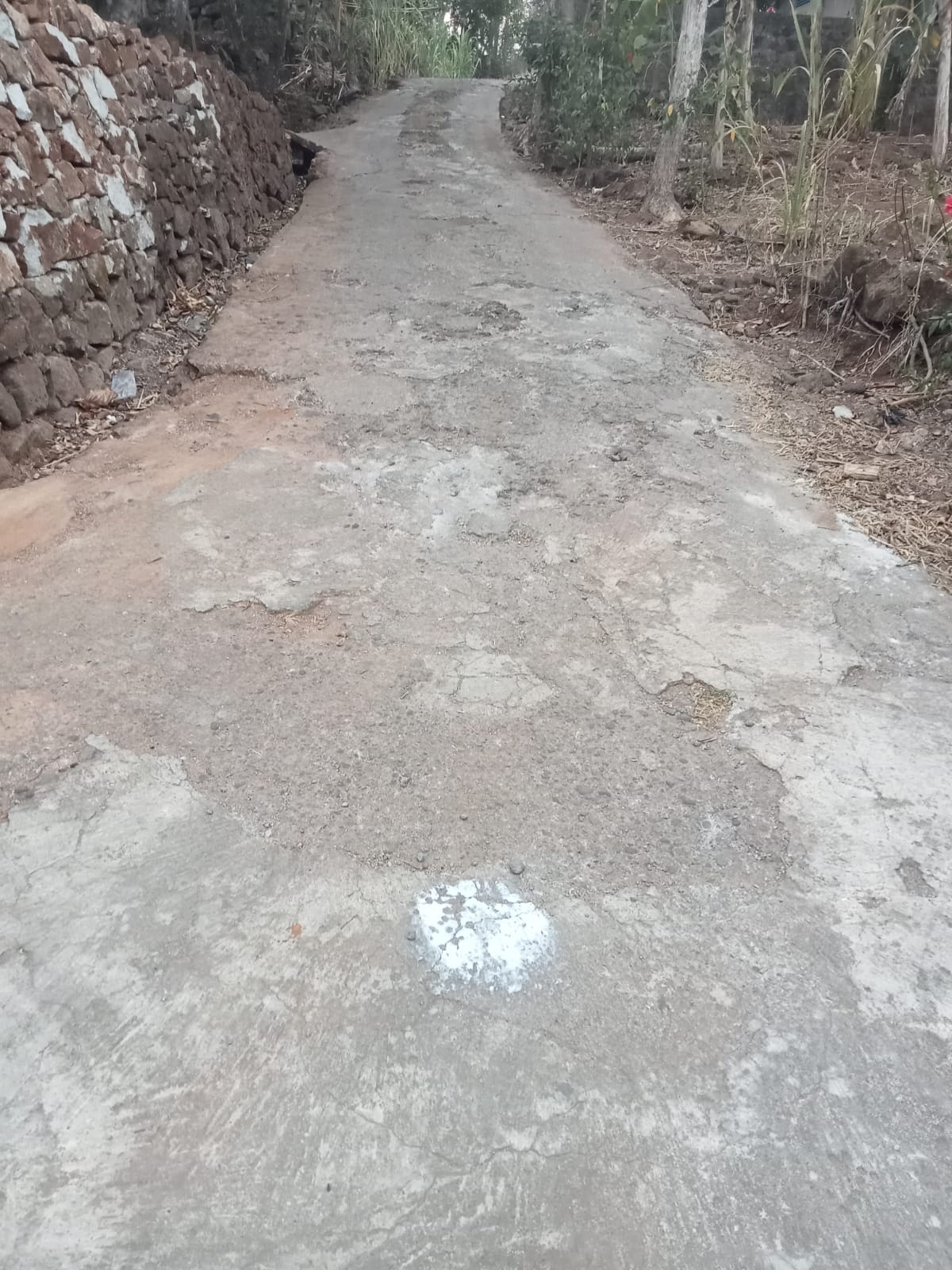 Foto Dokumentasi