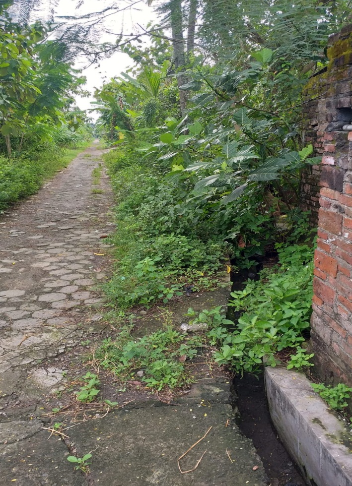 Foto Dokumentasi