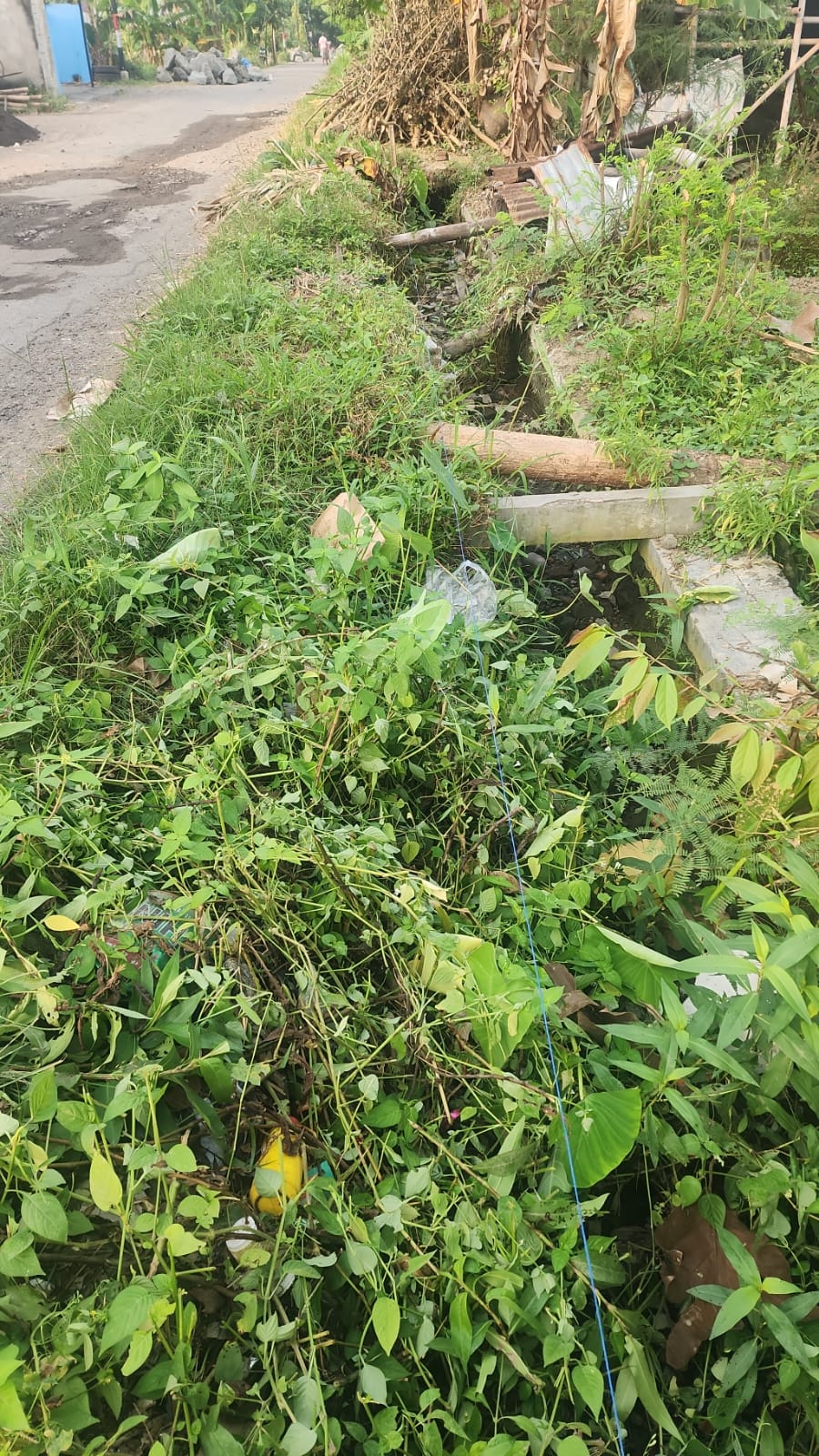 Foto Dokumentasi
