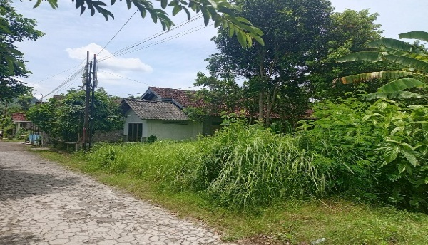 Foto Dokumentasi