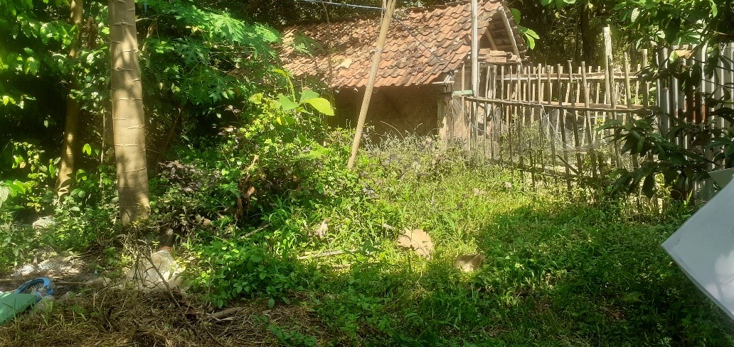 Foto Dokumentasi