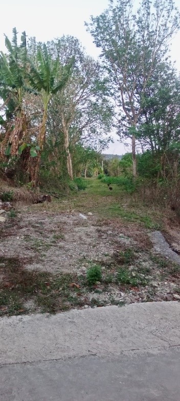 Foto Dokumentasi