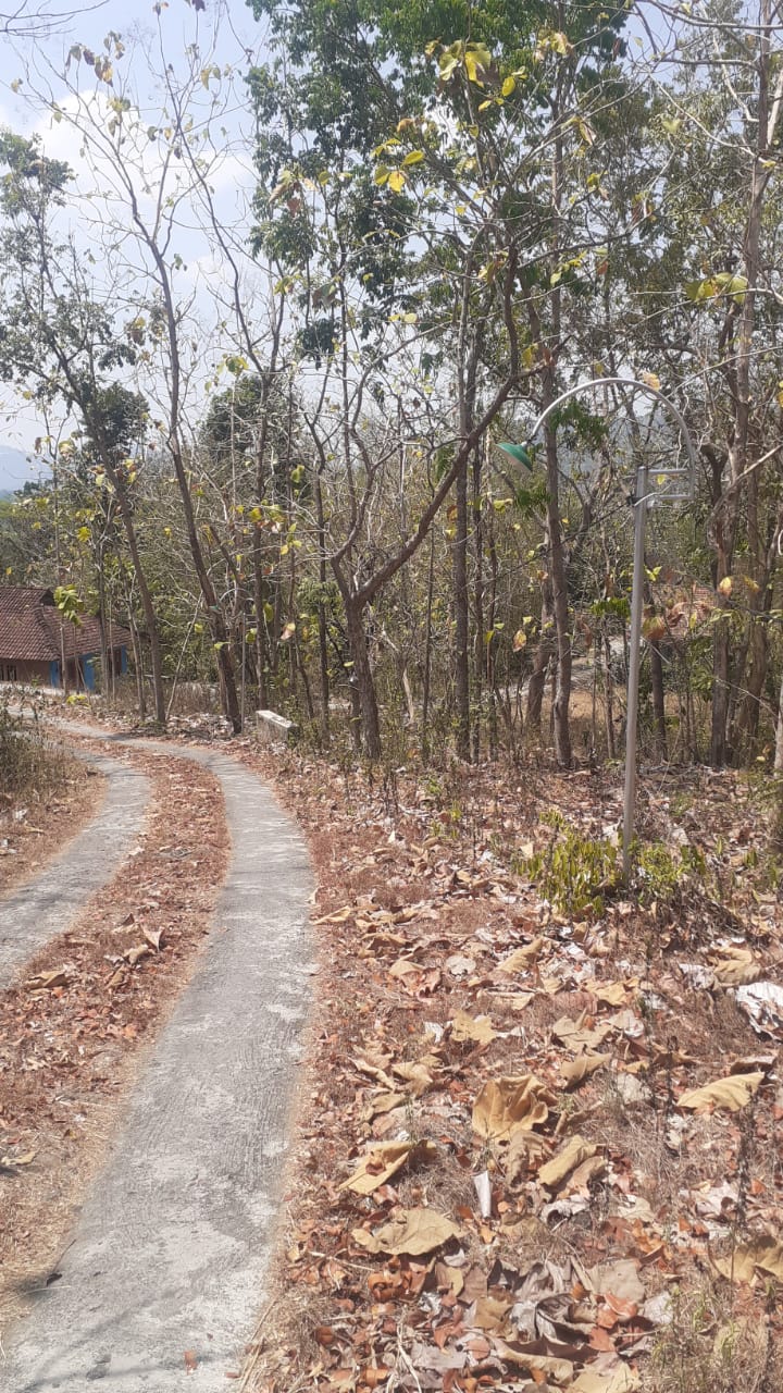 Foto Dokumentasi